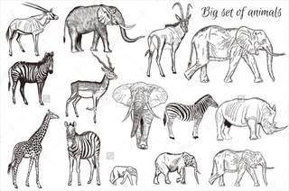 45+ Pencil Drawings - JPG, PSD, AI Illustrator Download