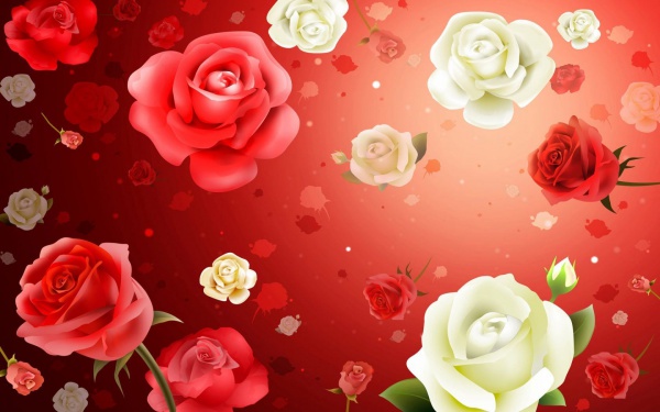 Rose Flower Background on Window