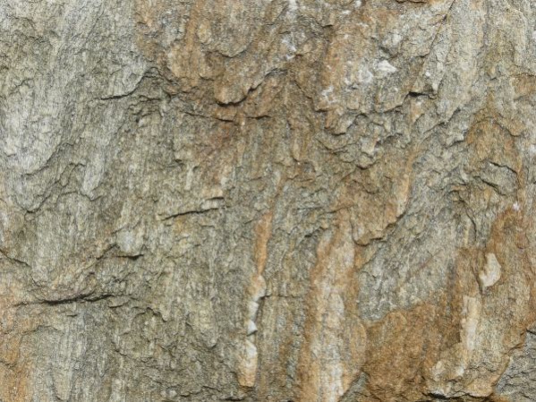 Rough Rock Surface Texture