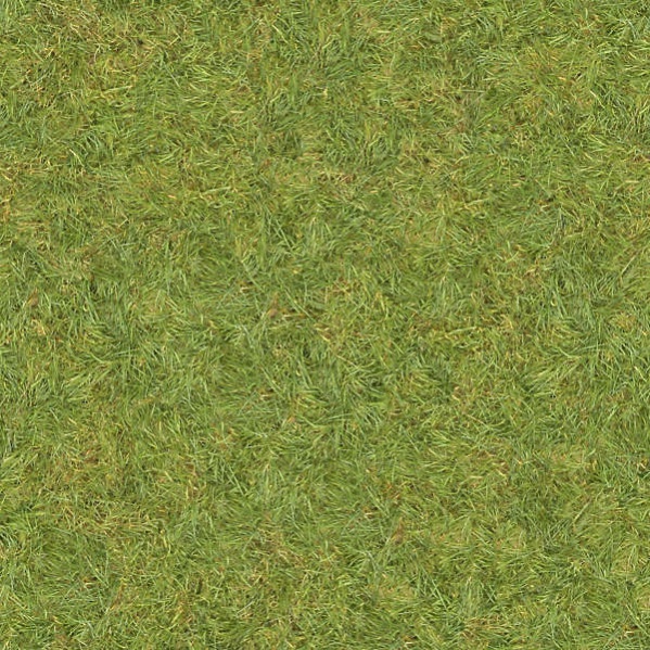 Seamless Grass Texture 