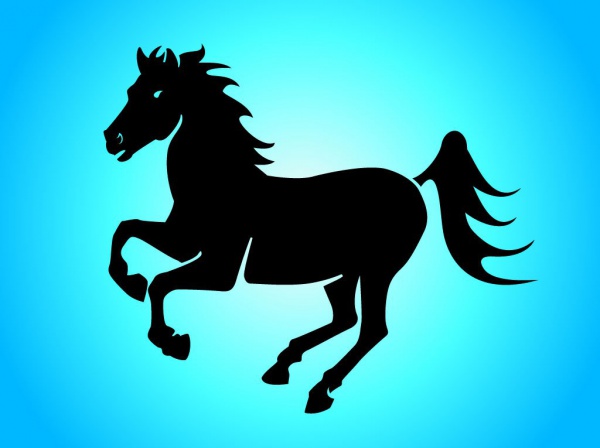Simple Horse Graphic Silhouette