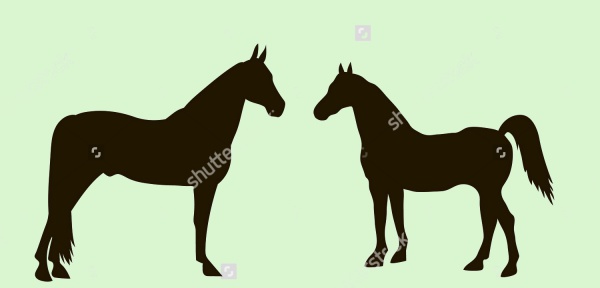 Standing Horse Silhouette Vector