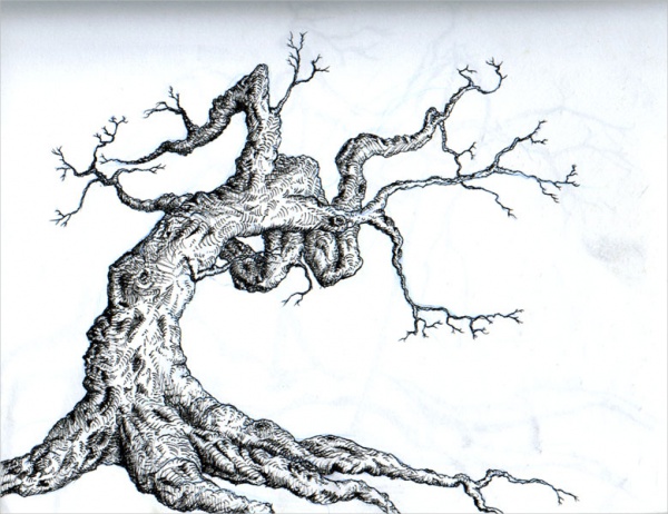 Line Drawing Tree Tree Tattoo Designs For Men And Women Dekorisori