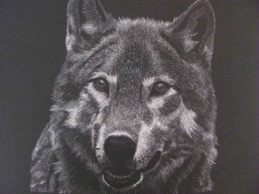 Tribal Wolf Drawing