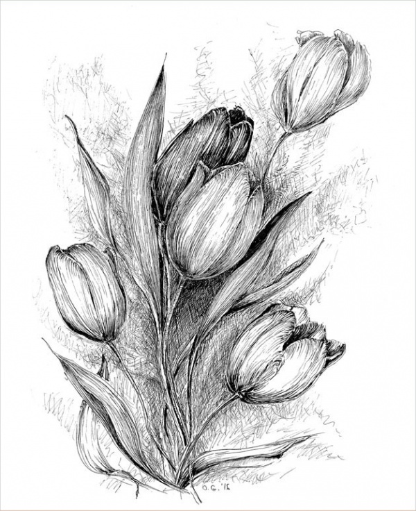 Black And White Pencil Drawings Of Flowers : Rose Drawings Drawing ...