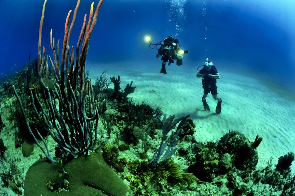Underwater Scuba Diving Photography