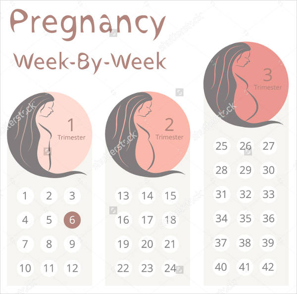 FREE 3 Weekly Calendars In PSD Vector EPS AI