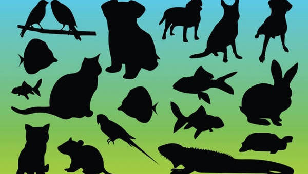 Download Free 20 Animal Silhouettes In Vector Eps Ai PSD Mockup Templates