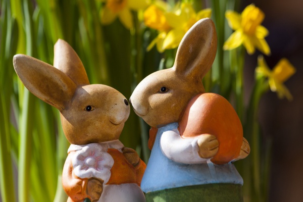 Bunny Easter Stock photography