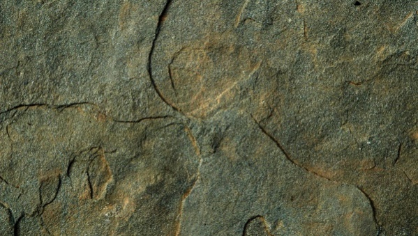 rock texture vector