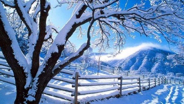 Free Winter Background Wallpaper - EnJpg