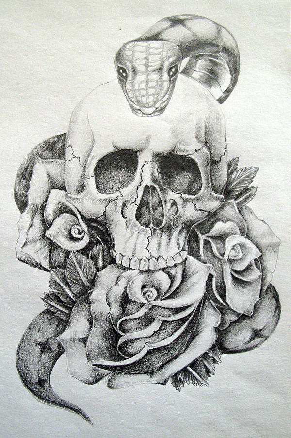 Abstract Skull Drawing