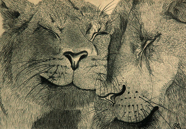 Animal Love Drawing