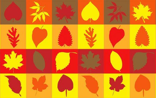 Autumnal Leaves Texture