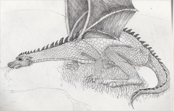 Awesome Dragon Drawing