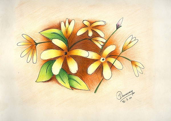 Beautiful Flowers Drawing