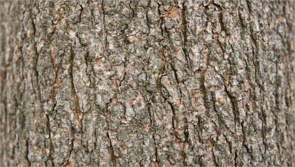 tree texture vector