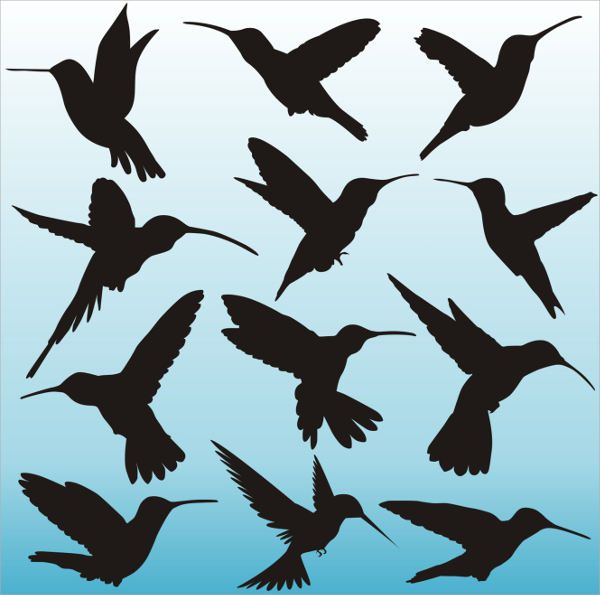 Bird Silhouette Pattern