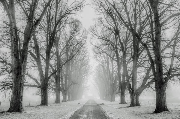 Black and White Landscape Photography