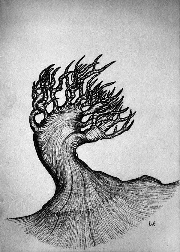 Black and White Drawing of Nature