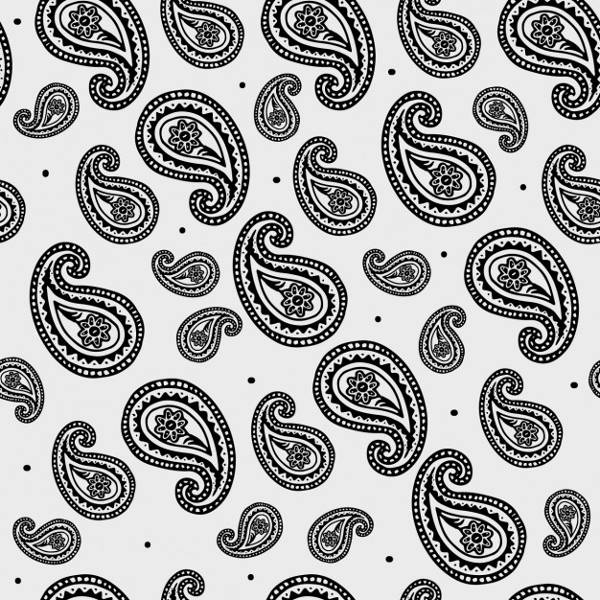 Black and White Paisley Design