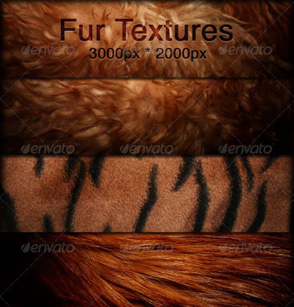 Brown Fur Textures