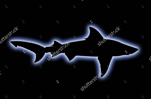 Bull Shark Silhouette