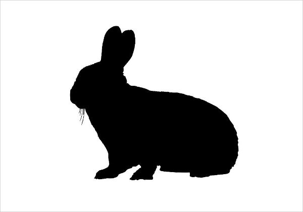 Bunny Rabbit Silhouette