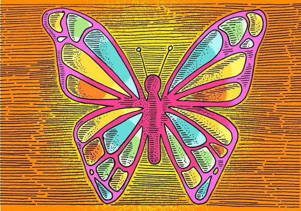 Butterfly Line Drawing