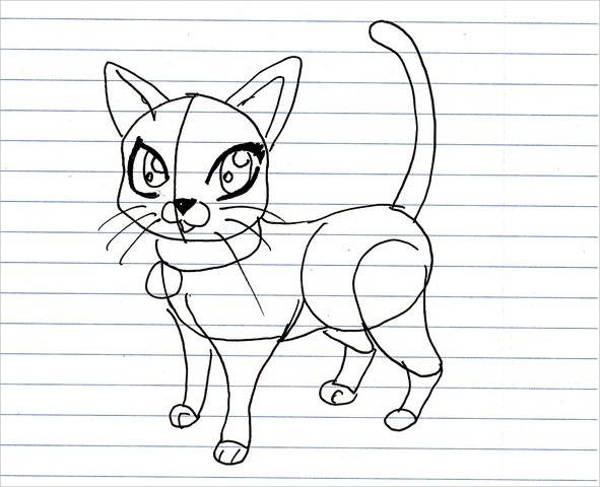 Cartoon Cat Drawing