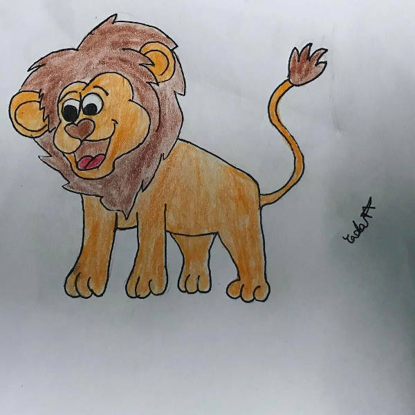 Cartoon Lion Drawing