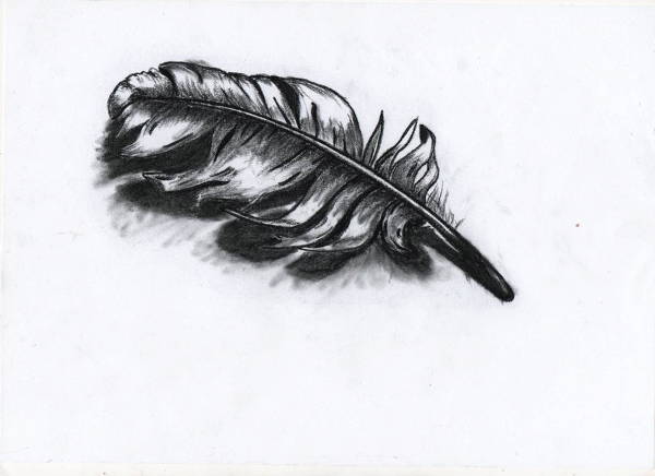 Charcoal Feather Drawing