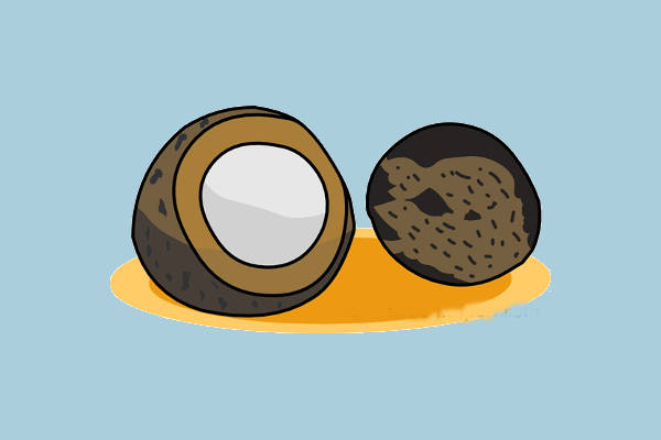 Coconut Food Clipart