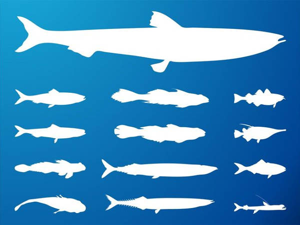 Collection of Fish Silhouettes