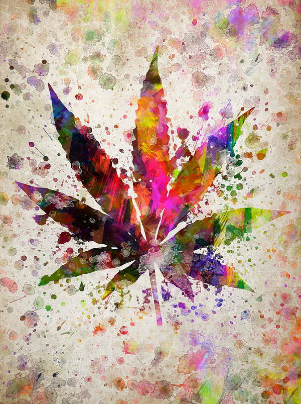 Colorful Leaf Drawing