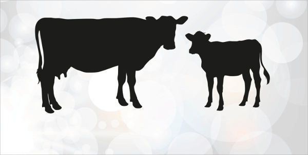 Cow and Calf Silhouette
