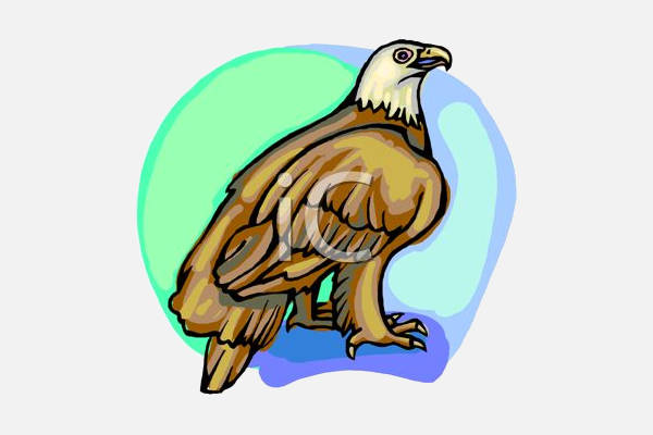 Cute Eagle Clipart