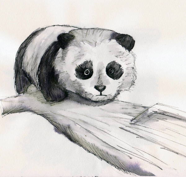 Cute Panda Drawing