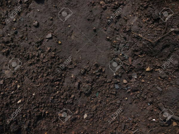 Dark Soil Texture