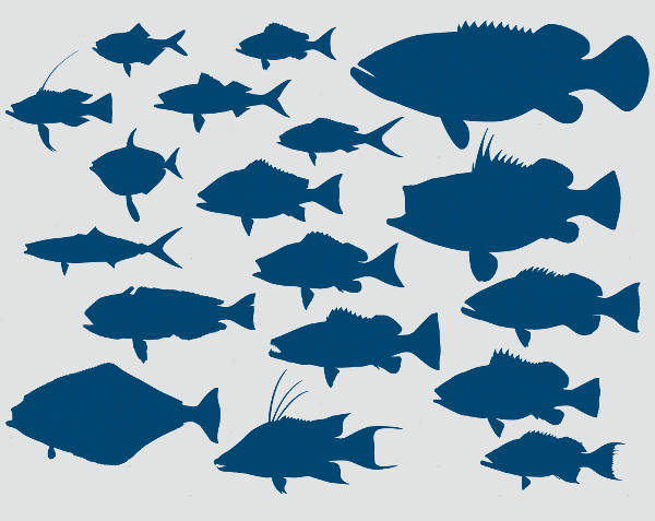 FREE 9+ Fish Silhouettes in Vector EPS | AI