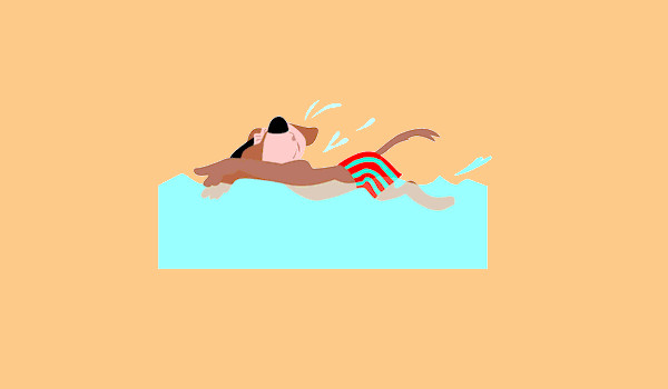 Dog Swimming Clipart