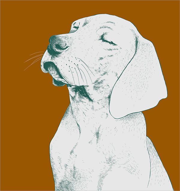 Dog Vector Illustration