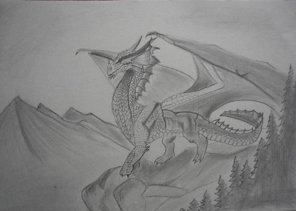Dragon Sketch Drawing