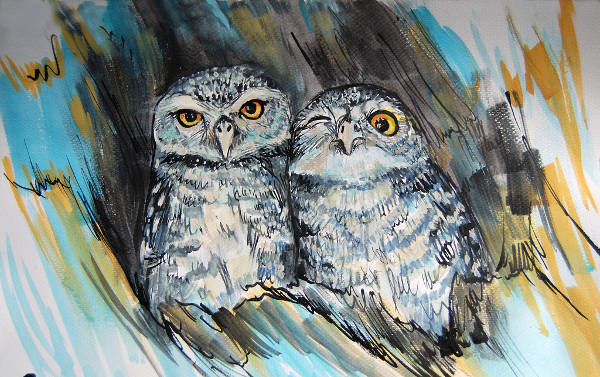 Dual Owl Drawing