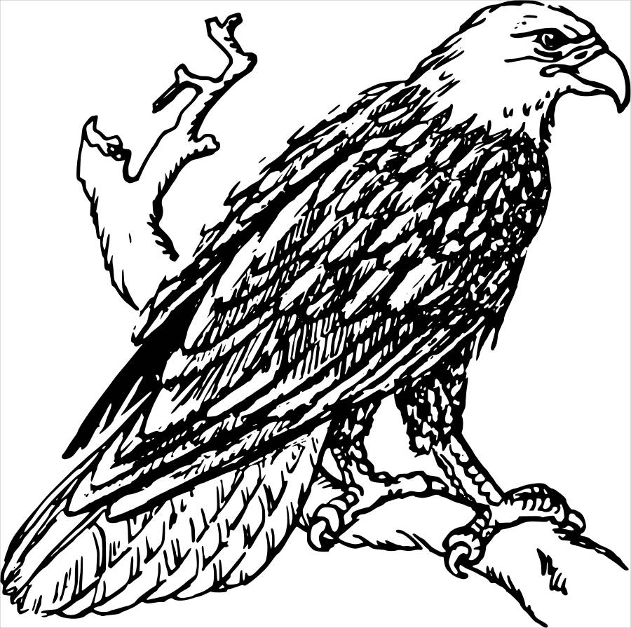 9 Eagle Cliparts Free Vector EPS JPG PNG Format Download