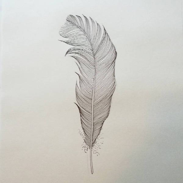 FREE 7+ Feather Drawings in AI