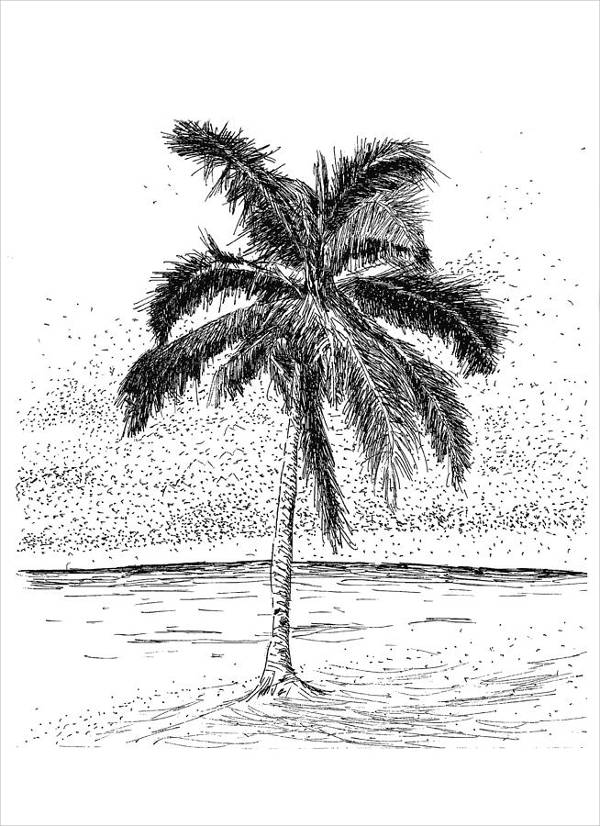 9+ Palm Tree Drawings - JPG Download