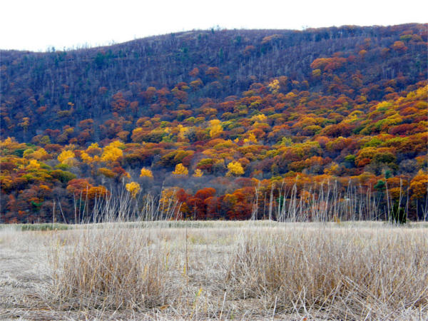 Fall Landscape Photography