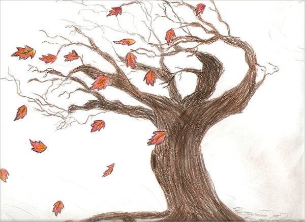 Fall Leaf Drawing