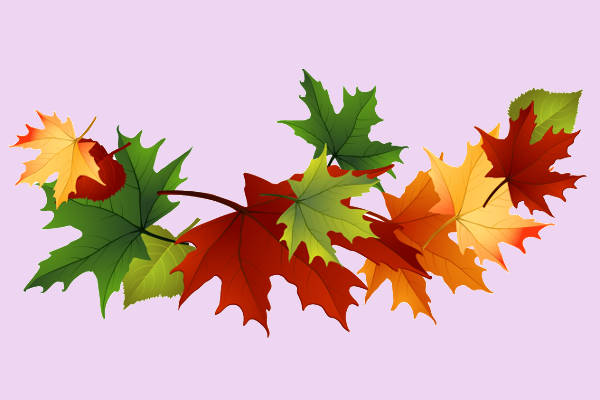 Fall Leaves Clipart